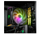 PC gaming LYNX Challenger, Ryzen 5 7600X, RTX 4070 SUPER 12GB, 32GB RAM, 1TB SSD, i zi