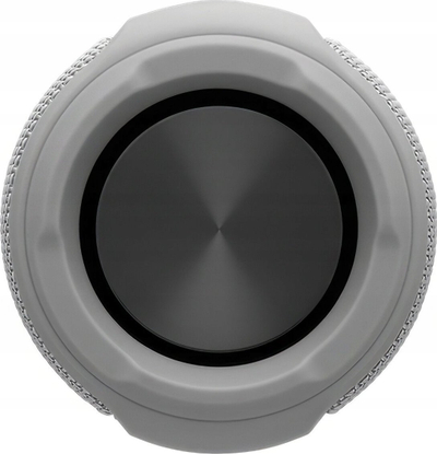 Altoparlant Bluetooth STREETZ S300, IPX7, bateri 10 orëshe, gri