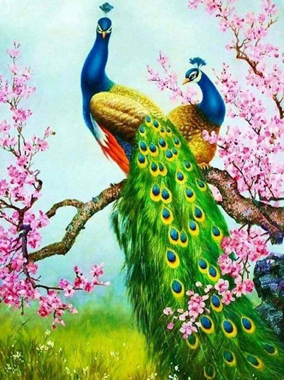 Set mozaik me diamant Norimpex Peacocks 5D, kanavacë 30x40cm, me plot ngjyra