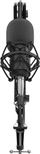 Микрофон Genesis Radium 300 XLR трипод, филтер (NGM-1695)