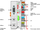 Modul rrjeti Wago PROFIBUS 750-303, DP FMS 12 MBaud, ndërfaqe binare dhe analoge