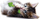 Lodër për dhëmbët e maces Petstages Fresh Breath Mint Stick, me catmint natyral përtypëse, jeshile