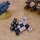 Zarë loje Q-Workshop Crosshairs Compact D6, set 14mm, ngjyrë e zezë perlë