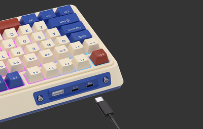 Tastierë mekanike Royal Kludge KZZI K75 Pro RGB, wireless 2.4 GHz Bluetooth, Moment Switch, blu retro