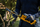 Gërshërët për gardh të gjelbër DeWalt DCMHT520N, 18V, 20cm, pa bateri