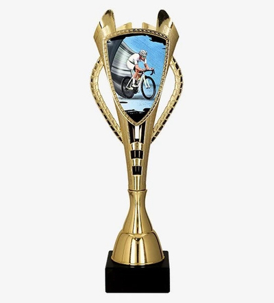 Kupë dekorative çiklizmi CYCLING 7243/CYC-B, 41.5cm, plastike, ngjyrë ari