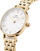 Orë dore Daniel Wellington Petite 5-Link DW00100614