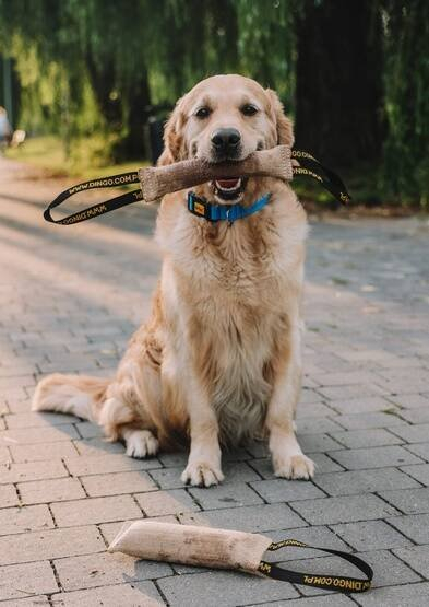 Lodër për t’ u tërheq me qen Dingo Jute Tug, 28cm, me dorezë, ngjyrë natyrale