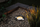 Spot tokësor Paulmann Plug & Shine FLOOR SH, 4.6W, RGBW Zigbee, i zi