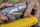 Sharrë rrethore Dewalt DWE560, 1350W, disk 184mm, e verdhë
