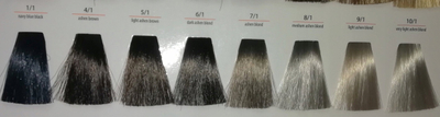 Bojë flokësh Chantal Art Color Prosalon 8.12, 100 ml, për parukeri