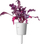 Kapsula bimore Click and Grow Red Leaf Beet, refill për kopsht inteligjent, paketim 3 copë, e bardhë