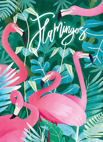 Puzzle Clementoni Fantastic Beasts Flamingos 35101, 500 elemente, shumëngjyrësh