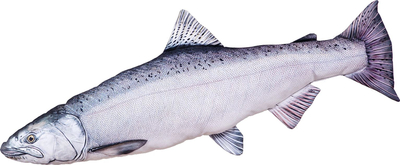 Jastëk Gaby Fish Chavicha, 90cm