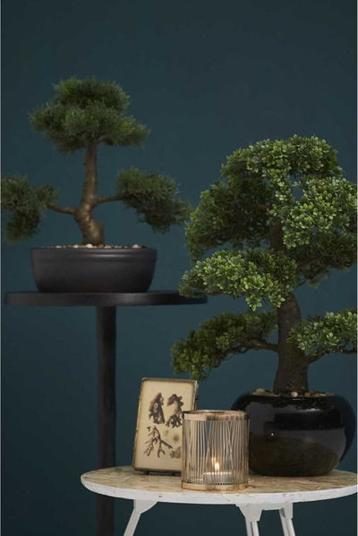 Bimë dekorative Emerald Cedar Bonsai, artificiale, 32 cm, jeshile