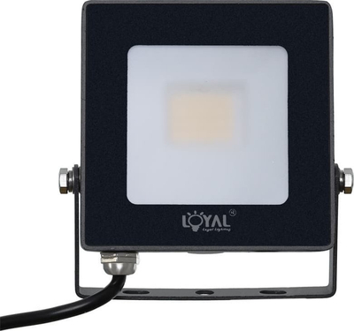 Projektor LED Loyal Lighting LY-FLE20, 20W, 2800lm, IP65, 4000K, i zi