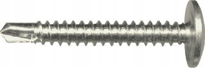 Vidë vetëshpuese me rondele, 4.2×16 mm, 1 kg, e galvanizume e bardhë