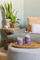 Qiri aromatik Yankee Candle Signature Stargazing, 567 g, 90 orë djegie, kavanoz qelqi