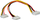 Kabllo adaptuese Roline Molex x2, 0.3m, shumëngjyrëshe