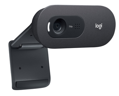 Веб камера Logitech C505 HD, 720p, микрофон со намалување на шум, црна
