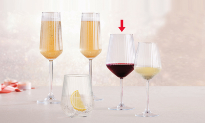 Set gota Paşabahçe Allegra Focus, 6 copë, 490 ml