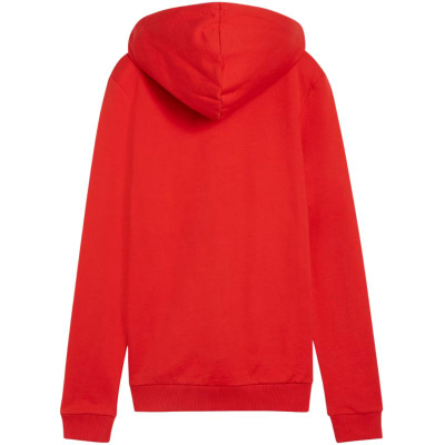 Дуксер со капче Puma Team Goal Casuals W 658621 01, за жени, сив