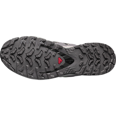 Патики за планинско трчање Salomon XA PRO 3D V9 GORE TEX Women, Contagrip, GORE TEX, виолетова и црна