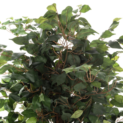 Bimë sintetike Pema Banyan 136cm (HM7992)
