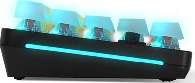 Set keycaps Glorious Polychroma Universal RGB, për tastiera mekanike 100% 80% 75% 60% TKL, polikarbonat i tejdukshëm