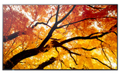Monitor profesional Sharp MultiSync M432, 43", 4K Ultra HD, i zi