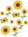 Dekor dritareje LearnHow Sunflowers 01, set 11 copë, dyanëshe, shumëngjyrëshe