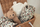 Mbulese e holle Muslin 70x70cm  Retro Flowers (3cope)