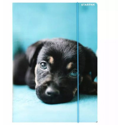 Dosje me llastik Cuties, format A4, me grafikë qenushë, shumëngjyrëshe