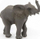 Figurë lodër Papo Wild Animal Kingdom Young, elefant i vogël, PVC