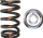 Set susta valvulash Brian Crower BC0350-2, Single Spring, Titanium Retainer, për Toyota 3SGE 3SGTE