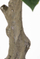 Bimë artificiale Present Time Rubber Tree, dekorative, jeshile