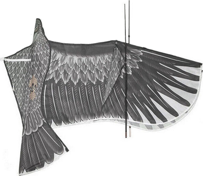 Fluturë ajri AG667C Kite XXL Shqiponjë, 200 cm, me dorezë edhe litar, shumëngjyrëshe