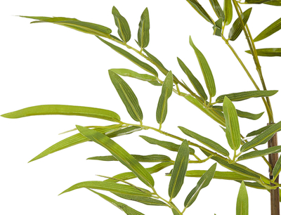Bimë plastike bambu BAMBUSA VULGARIS, për zbukurim, e gjelbër