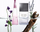 Parfum Issey Miyake L'Eau d'Issey Pour Homme Solar Lavender, Eau de Toilette Intense, për meshkuj, transparent