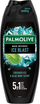 Гел за туширање Palmolive Men Intense Ice Blast, 5 во 1, 500 ml