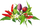 Билни капсули Click &amp; Grow Chili Pepper Mix, сет 9 парчиња, Purple Chili Piri Piri Red Hot
