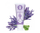 Krem dushi Jeanne En Provence, 200 ml