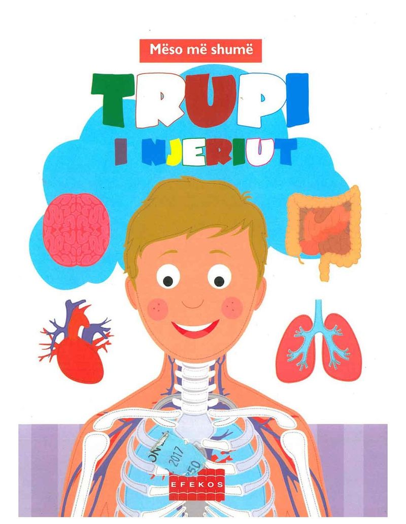 Trupi I Njeriut