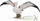 Фигурина животно Collecta Wandering Albatross, колекционерска играчка, многуобоена