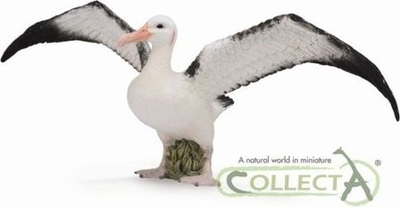 Фигурина животно Collecta Wandering Albatross, колекционерска играчка, многуобоена