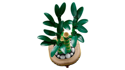 Model ndërtimi LEGO Icons 10344 Lucky Bamboo, set dekorativ, shumëngjyrësh