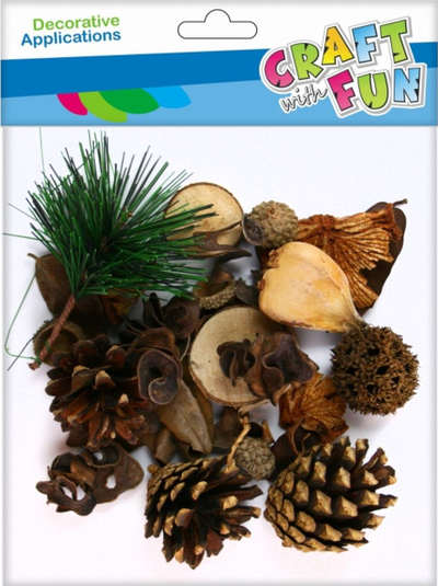 Set dekorativ CRAFT WITH FUN Forest Mix, gjëra pylli për punime dore, me ngjyra nga të gjitha