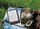 Lexues elektronik Amazon Kindle Paperwhite Kids, 6.8", 16GB, jeshile Emerald Forest