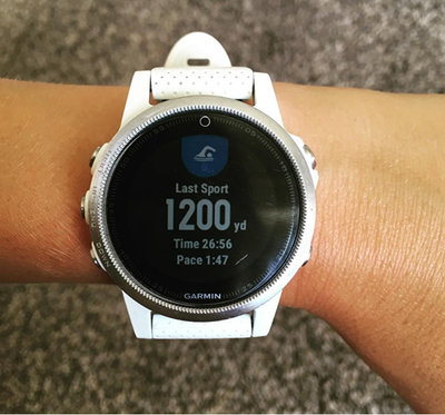 Orë dore Garmin 5S