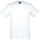 Maicë Cars Jeans Monterey Polo 4037023, XXL
